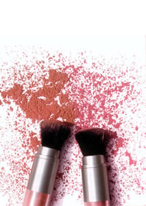 Brushes and make-up powder